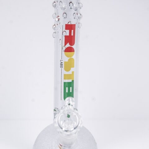 Bubble Brain 10in Rasta Logo Frosted Labs bubble bottom Bong
